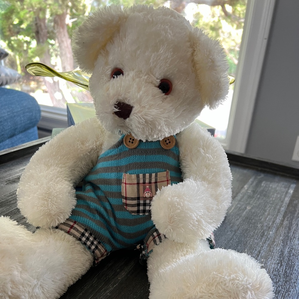 White Ming Ren Teddy Bear so so soft